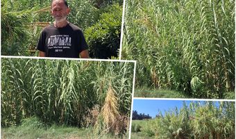 Γ. Σάζαλης (Πυλί): Παράπονα για το ακαθάριστο ποτάμι δίπλα σε σπίτια