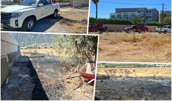 Φωτιά στην Καρδάμαινα - Άμεση επέμβαση της Πυροσβεστικής και του οχήματος πυρασφάλειας του Ομίλου Μήτση 