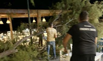Αγιο είχαν επισκέπτες και θαμώνες εστιατορίου στο Μαστιχάρι - Έσπασε μεγάλος κλώνος δέντρου δίπλα τους