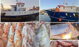 Με καθυστέρηση 10 ημερών σήκωσαν άγκυρες οι “μηχανότρατες” της Καλύμνου – Γέμισαν με φρέσκα ψάρια οι πάγκοι των ιχθυοπωλείων