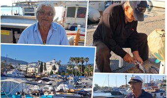 Ιδιαίτερα αισθητές οι συνέπειες του λαγοκέφαλου και στη θαλάσσια περιοχή της Κω: Οδηγούμαστε στην καταστροφή, λένε οι ψαράδες