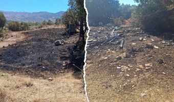 Ανακοίνωση της Πολιτικής Προστασίας Δήμου Κω για τις σημερινές φωτιές σε Πυλί και Πλατάνι 