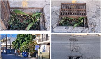 Διαμαρτυρίες κατοίκων στο Πλατάνι για φρεάτιο γεμάτο χόρτα και "φυτά" που πλημμυρίζει