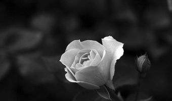 “Έφυγε” από τη ζωή η αγαπητή συμπολίτισσά μας Κατερίνα Καλέργη