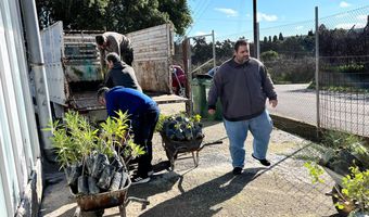 Πάνω από 2.000 φυτά σε δήμους, σχολεία και κοινότητες των νησιών από το Περιφερειακό Φυτώριο Νοτίου Αιγαίου
