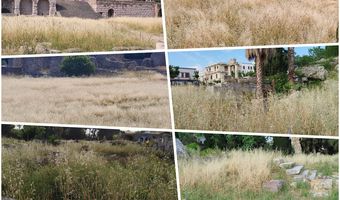 Εικόνα εγκατάλειψης στους αρχαιολογικούς χώρους της Κω - Φοβούνται να πλησιάσουν οι τουρίστες αφου τα χόρτα ξεπερνούν το 1,5 μέτρο 