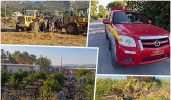 Μεγάλη κινητοποίηση για φωτιά στο Πυλί- Τέθηκε υπό έλεγχο 