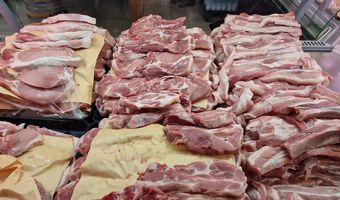 Η "δραστηριότητα" του Δημ. Σφαγείου Κω την Τετάρτη 28/1