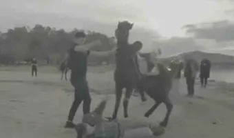 Ατύχημα για τον Άκη Πετρετζίκη: Έπεσε από άλογο στη διάρκεια γυρισμάτων (vid)