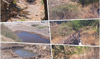 Διαμαρτυρίες πολιτών για ακαθάριστα ρέματα στην Κω