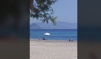 Μαγευτικό θέαμα σε παραλία της Κω – 4 δελφίνια χάρισαν μοναδικές στιγμές στους λουόμενους 