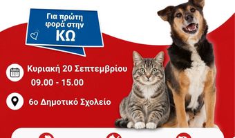 Σεμινάριο Πρώτων Βοηθειών για Ζώα συντροφιάς στην Κω!