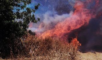 1.293.000 ευρώ στους δήμους της Δωδεκανήσου για δράσεις πυροπροστασίας μέσα στο 2026  