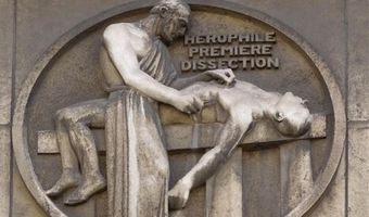 Τηλεοπτική παραγωγή για «Το ημερολόγιο του Ιπποκράτη»