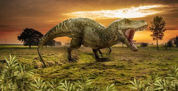 H NASA ισχυρίζεται ότι βρέθηκε θραύσμα του αστεροειδούς που εξαφάνισε τους δεινόσαυρους