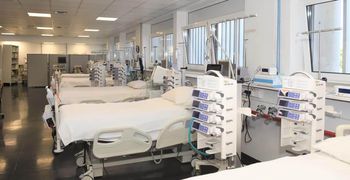 ΕΟΔΥ: Στάλθηκε εγκύκλιος στα νοσοκομεία για την ευλογιά των πιθήκων 