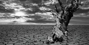 Η μεγαλύτερη ξηρασία των τελευταίων 500 ετών - Στέρεψε η πηγή του Τάμεση ποταμού