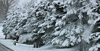 Έρχεται τσουχτερό κρύο τα επόμενα 24ωρα