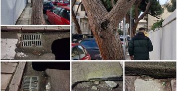 Ανησυχία πολιτών για επικίνδυνη κλίση δέντρου και καθίζηση οδοστρώματος στην οδό Ελ. Βενιζέλου