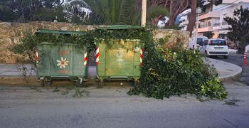 Αναγνώστρια: Κλάδεψε τα δέντρα του και έριξε τα κλαδιά στους κάδους