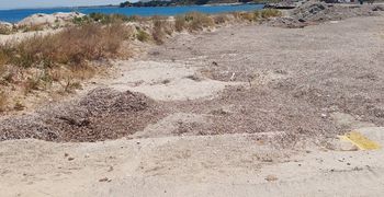 M. Γιωργαλλής: Μαστιχάρι - Εδώ που κάποτε έδεναν βάρκες, τώρα φυτρώνουν χόρτα στο πυθμένα