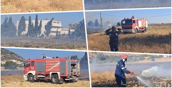 Συμβαίνει τώρα: Φωτιά στην Καρδάμαινα κοντά σε ξενοδοχείο 