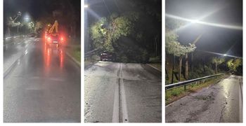 Πτώση δέντρου σε καλώδια της ΔΕΗ στο δρόμο προς Μαστιχάρι - Αντιμάχεια 