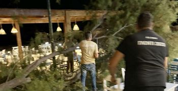 Αγιο είχαν επισκέπτες και θαμώνες εστιατορίου στο Μαστιχάρι - Έσπασε μεγάλος κλώνος δέντρου δίπλα τους