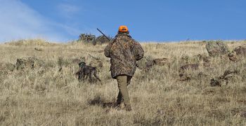 Μειώνονται οι επιτρεπόμενες ημέρες για κυνήγι στη Νίσυρο