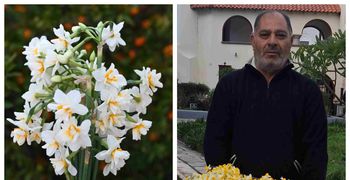 Τα "νερακίζια" της Κω γεμίζουν αρώματα και χρώματα τα σπίτια του χειμώνα