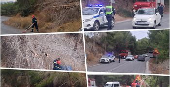 Έπεσε δέντρο στον δρόμο στις «Πόρτες» Αντιμάχειας – Από θαύμα δεν σημειώθηκε τραυματισμός