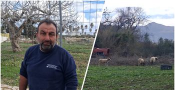 Μ. Μανιάς (Πρόεδρος Κτηνοτρόφων Κω): Δεν πήραμε αυτά που θέλαμε – Δεν καταλαβαίνει η Κυβέρνηση τι περνάμε…