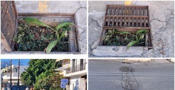 Διαμαρτυρίες κατοίκων στο Πλατάνι για φρεάτιο γεμάτο χόρτα και "φυτά" που πλημμυρίζει