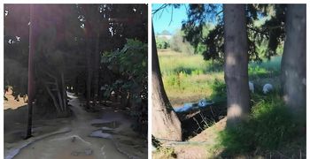 SOS από αναγνώστη: "Υγειονομική βόμβα" με τα λύματα στo Λινοπότη – Κινδυνεύει η υγεία όλων μας!