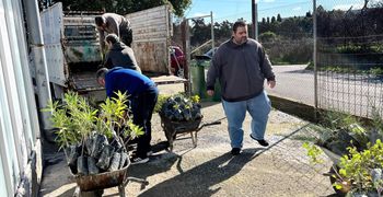 Πάνω από 2.000 φυτά σε δήμους, σχολεία και κοινότητες των νησιών από το Περιφερειακό Φυτώριο Νοτίου Αιγαίου