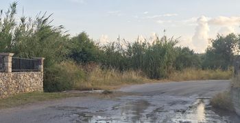 Αναγνώστης: Λύματα σε δρόμο στο Πυλί
