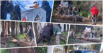 Κοπή “επικίνδυνων” δέντρων στην Κω – Αιχμές από τον κ. Σοφοκλή Δουδούς: Δυστυχώς στο Δήμο κάνουν κουμάντο κάποιοι που δεν έχουν αρμοδιότητα…