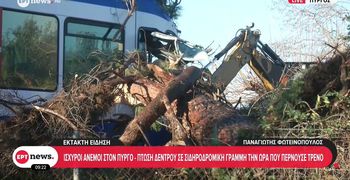 Πύργος Ηλείας: Δέντρο έπεσε σε τρένο προς Κατάκολο - Tραυματίστηκε ο μηχανοδηγός