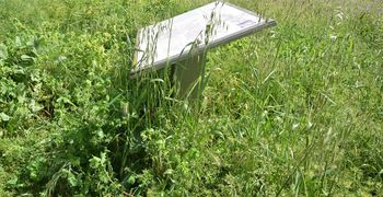 173.000 ευρώ για εργασίες καθαρισμού και αποψίλωσης αρχαιολογικών χώρων σε Ρόδο, Κω, Κάλυμνο και Σύμη