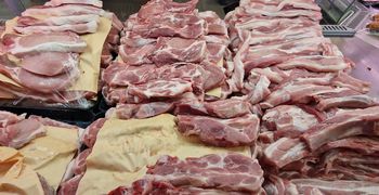 Η "δραστηριότητα" του Δημ. Σφαγείου Κω την Τετάρτη 28/1