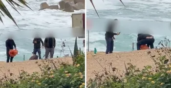 Πάφος: Βίντεο σοκ με κακοποίηση νεκρής χελώνας στην Πάφο - Ελεύθεροι οι τέσσερις εμπλεκόμενοι