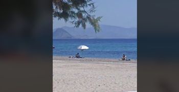 Μαγευτικό θέαμα σε παραλία της Κω – 4 δελφίνια χάρισαν μοναδικές στιγμές στους λουόμενους 