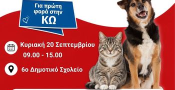Σεμινάριο Πρώτων Βοηθειών για Ζώα συντροφιάς στην Κω!