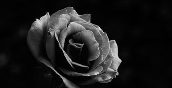 Σοκ στον δικαστικό και δικηγορικό κόσμο της Δωδ/σου – «Έφυγε» από τη ζωή ο Πρόεδρος Εφετών Χριστόδουλος Κυρτσίδης