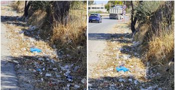 Θ.ΤΡΙΑΝΤΑΦΥΛΛΙΔΗΣ: ΑΥΤΟ ΕΙΝΑΙ ΤΟ ΠΡΟΣΩΠΟ ΤΟΥ ΠΟΛΙΤΙΣΜΟΥ ΜΑΣ;