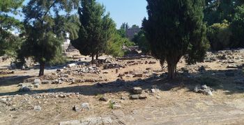 Σ. Χατζηπέτρος: Έρχεται αύριο η Υπ. Πολιτισμού και όλοι τρέχουν τώρα για να της δείξουν μία ωραία Κω