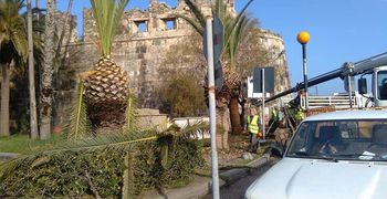 42 εποχικούς εργαζόμενους προσλαμβάνει ο Δήμος Κω 