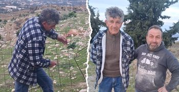 Σκυλιά κατασπάραξαν αιγοπρόβατα του συμπολίτη μας Δ. Κώστογλου στον Αγ. Βασίλειο Κω (φωτο)