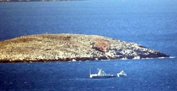 30 χρόνια από τα Ίμια: Η κρίση που «γκρίζαρε» το Αιγαίο - Τα γεγονότα, οι αποφάσεις και οι συνέπειες