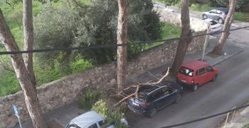 Τεράστιο κλαδί δέντρου έπεσε σε σταθμευμένα οχήματα 